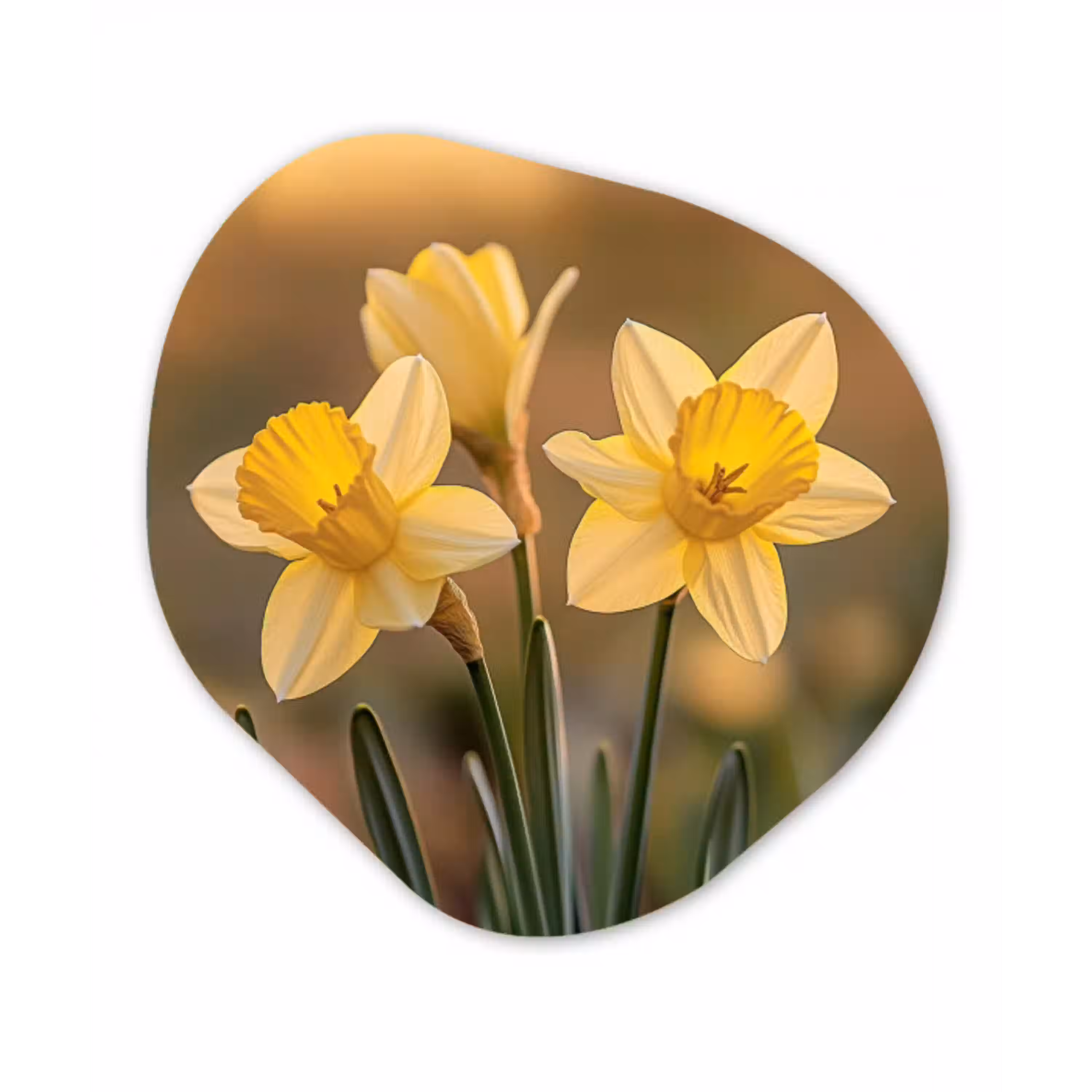 Bloemen - Geel - Wazig Wandcirkel Organisch Plexiglas middel -3d