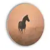 Paard - Grasveld - Zonsondergang Akoestische PET Vilt - Rond klein -3d