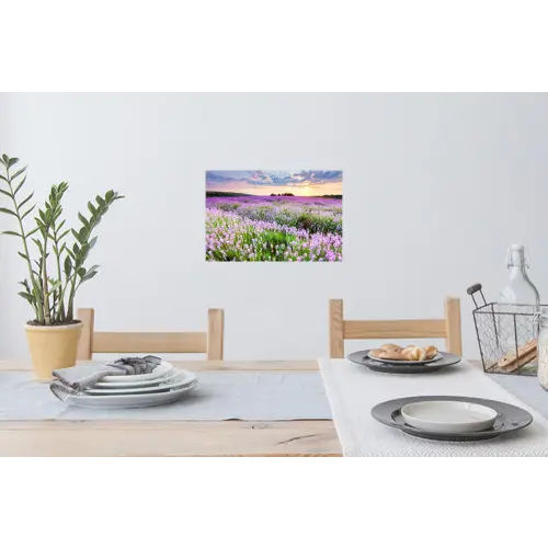 Lavendel - Bloemen - Zonsondergang - Paars - Weide Muursticker klein -eettafel