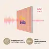 Verticaal - Strepen - Oranje - Ciao bella PET vilt klein -USP_DE