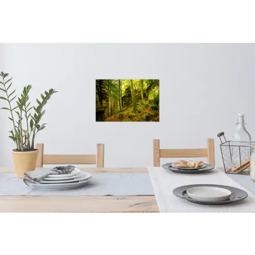 Bomen - Steen - Bos - Natuur Muursticker klein -eettafel