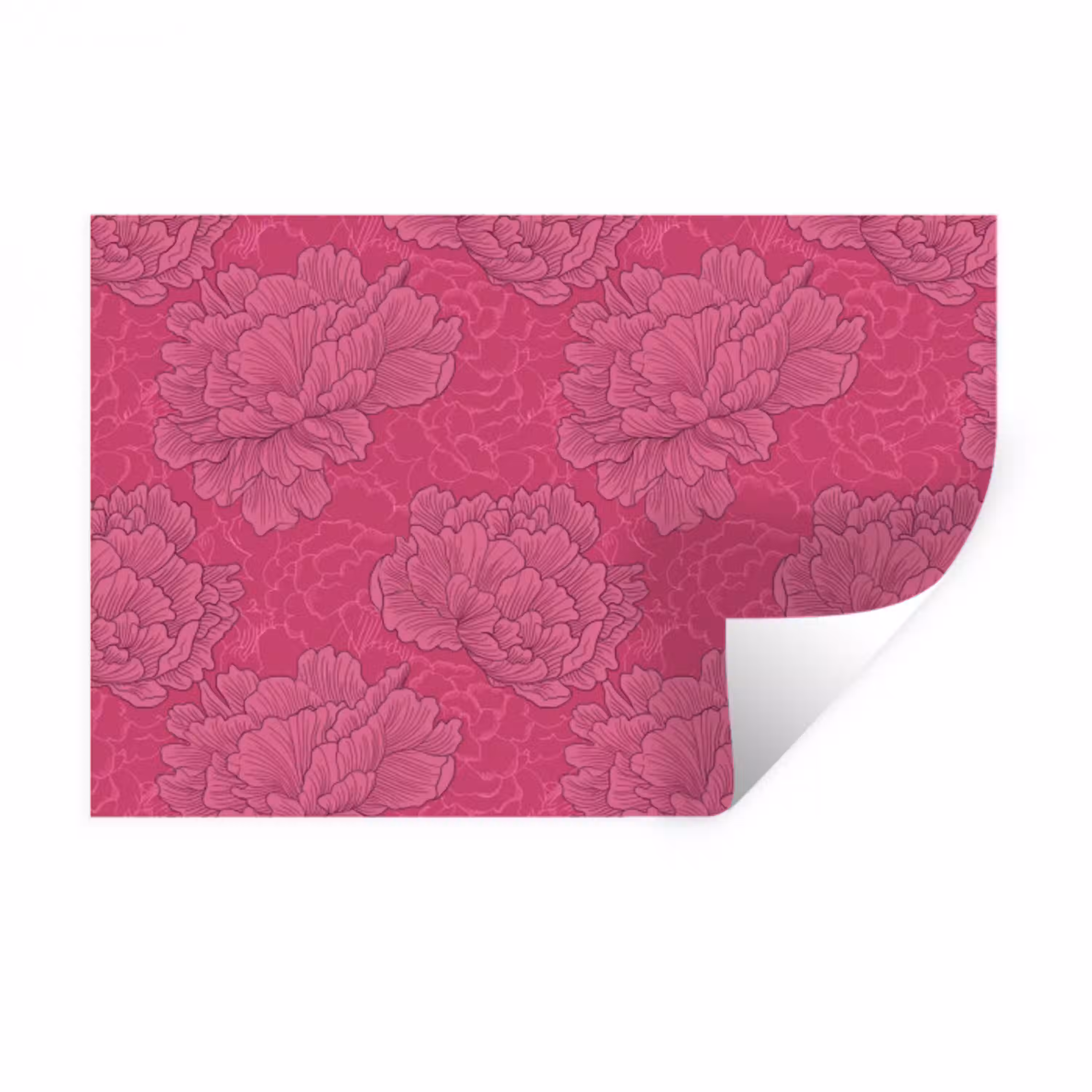 Pioenrozen - Energiek - Roze Muursticker klein 286 -3d