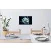 Zeewezen - Wit - Golven - Water Muursticker klein -eettafel