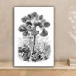 Design - Zwart wit - Natuur canvas 2cm klein -sfeer1