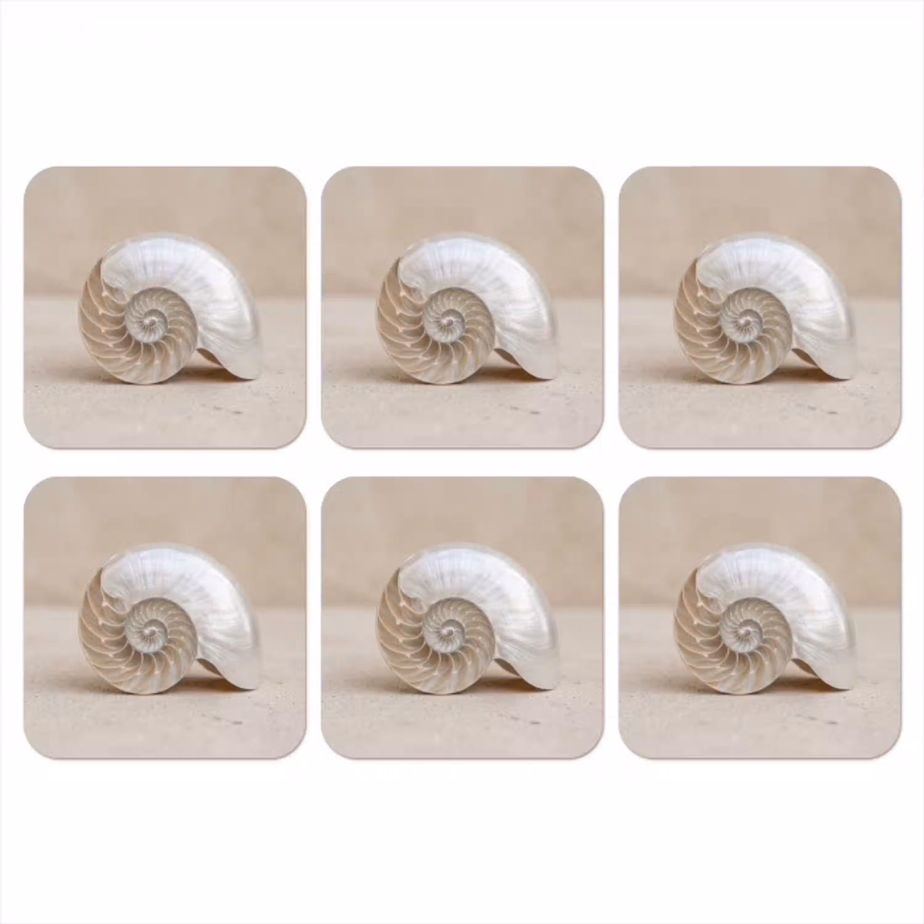 Schelp - Spiraal - Beige onderzetter kurk middel -3d
