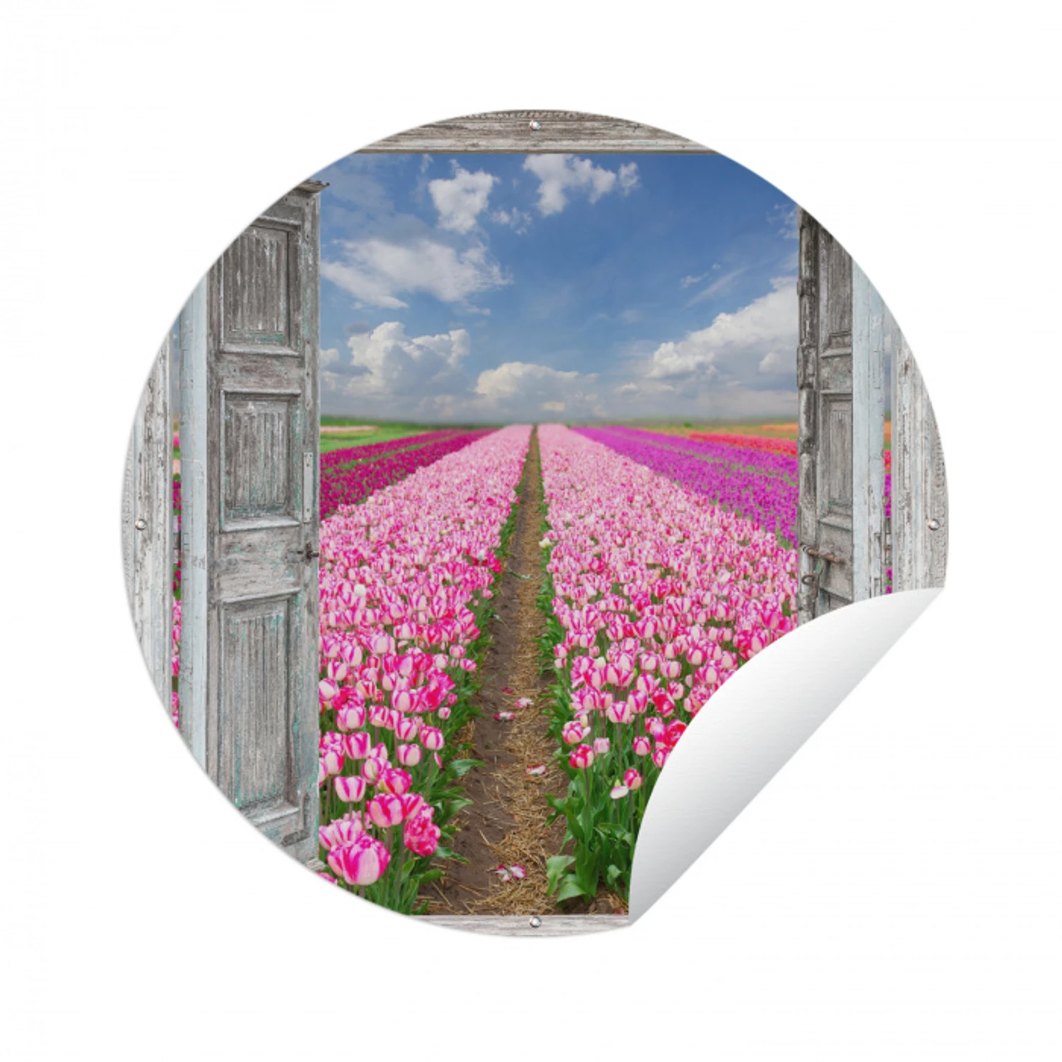 Bloemen - Tulpen - Doorkijk - Regenboog Wandcirkel tuinposter met ringen klein -3d