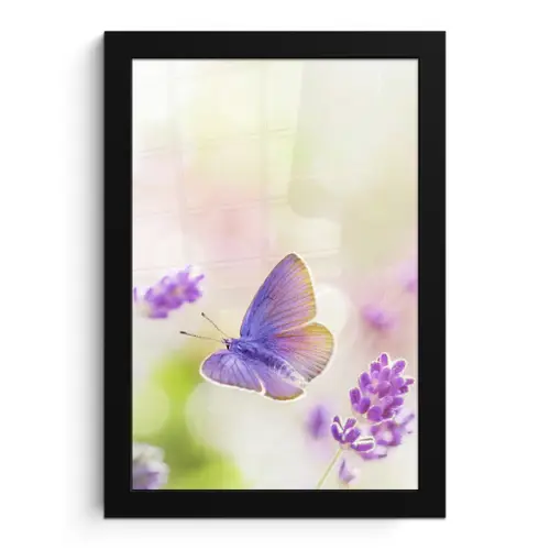 Lavendel - Vlinder - Bloemen fotolijst zwart zonder passe partout klein -3d
