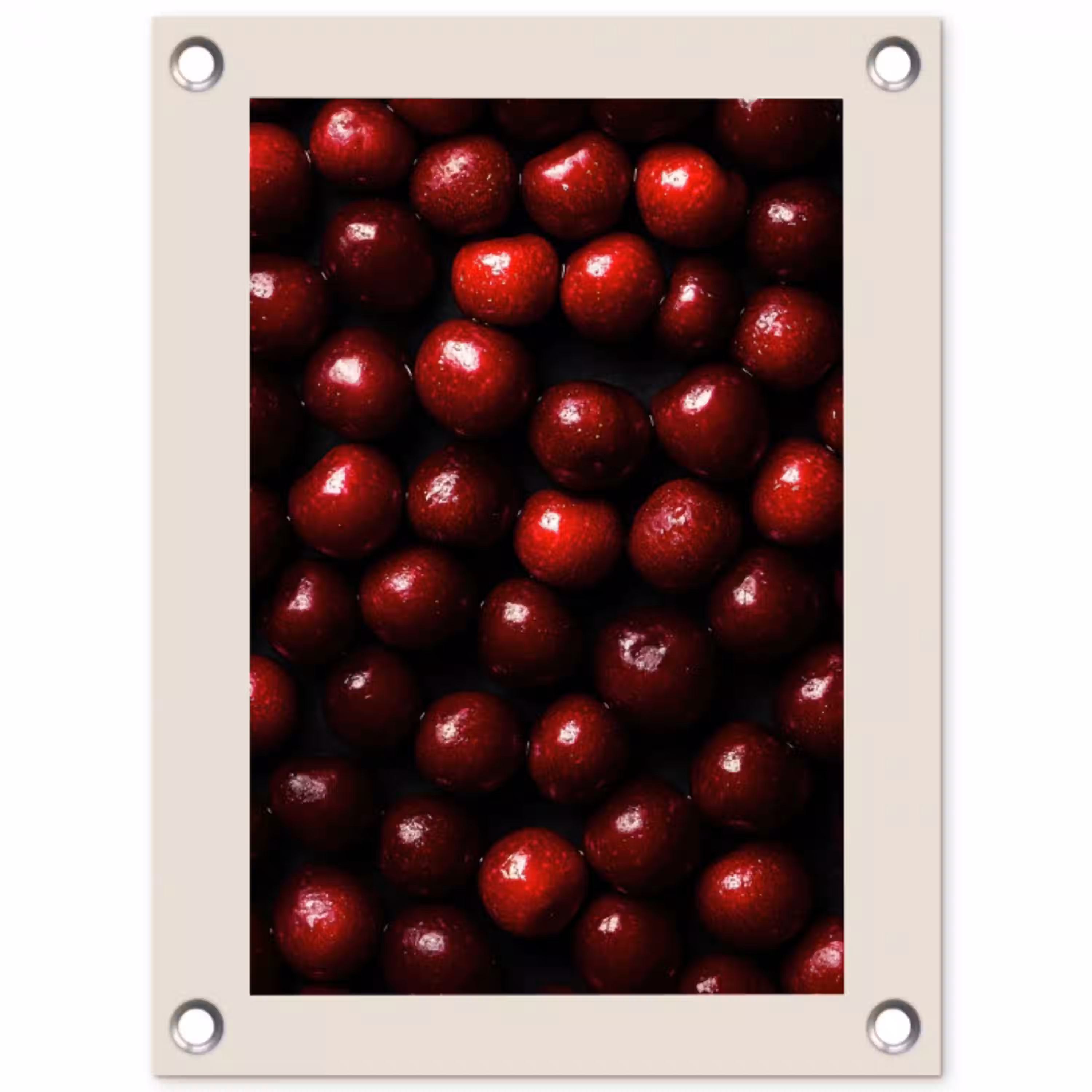 Kersen - Rood tuinposter los doek klein -3d