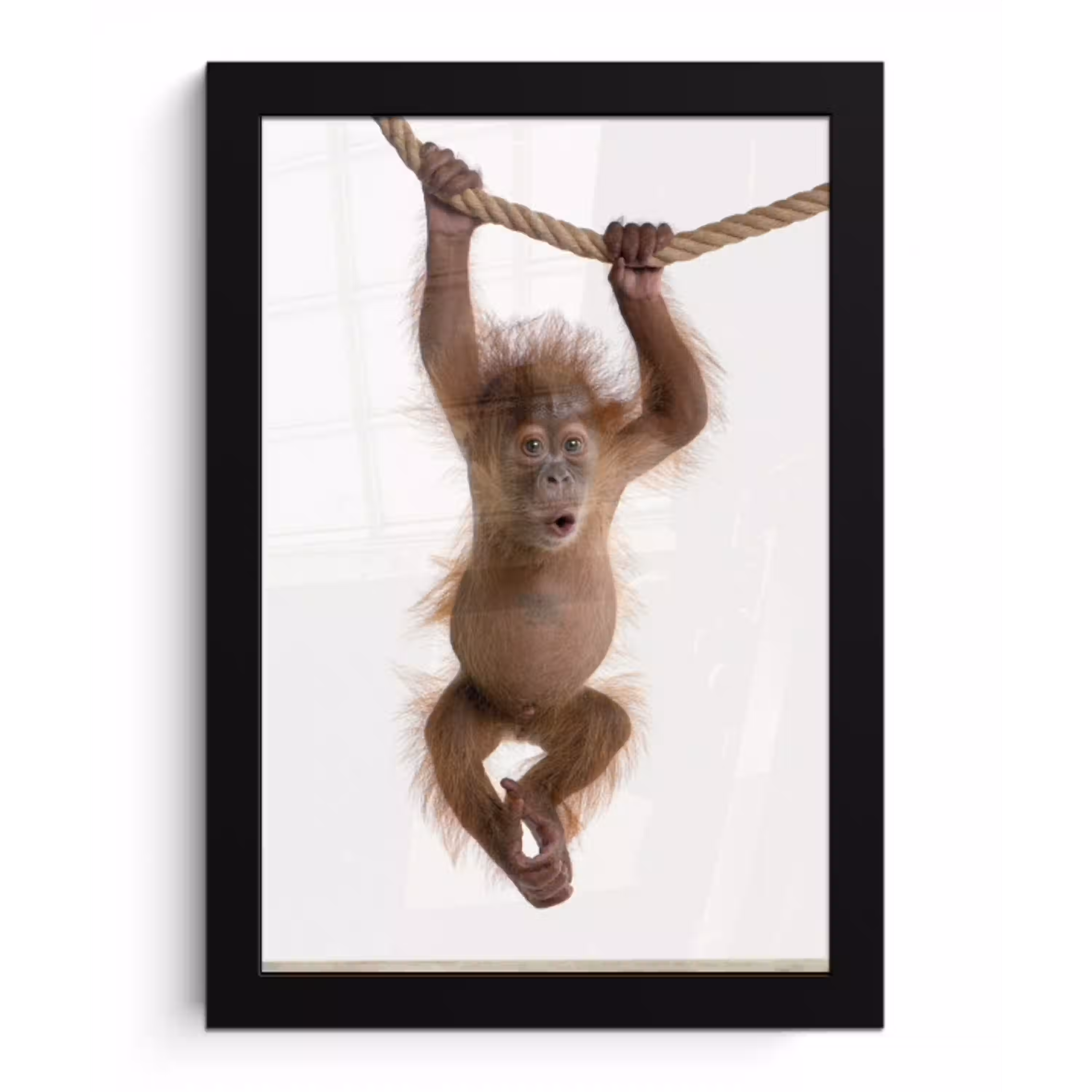 Aap - Dieren - Kinderen - Orang Oetan - Jongetjes - Meisjes fotolijst zwart zonder passe partout klein -3d