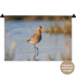 Vogel - Steltloper - Water - Natuur Wandkleed katoen klein -t3d_DE