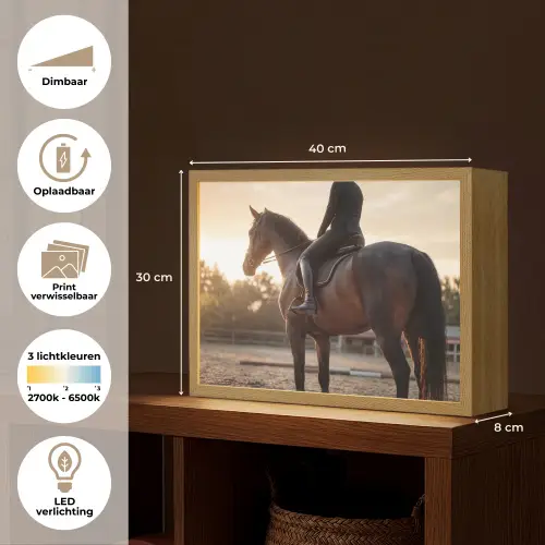 Harmonie - Ruiter - Zon Light Box met batterij (Wandlamp) middel -USP_websiteoverzichtNL