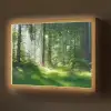 Natuur - Bomen - Bos - Groen - Zon - Gras - Planten Light Box met batterij (Wandlamp) middel -z3d_website