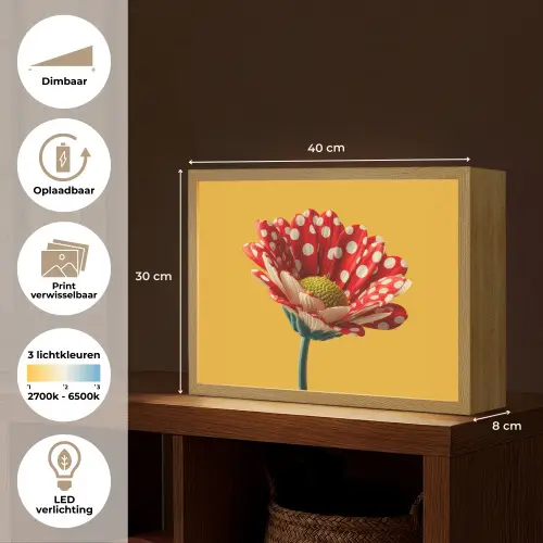 Bloem - Rood - Stippen Light Box met batterij (Wandlamp) middel -USP_websiteoverzichtNL