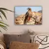 Valk - Vogel - Rots - Macht canvas 2cm klein -sfeer1