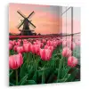 Tulpen - Molen - Nederland plexiglas 5mm klein -zzzproduct_nieuw