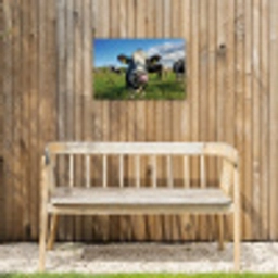 Koe - Tong - Weide Tuinposter op houten frame 2 cm dik klein -sfeer4