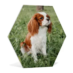 hexagons-product2-2.png