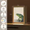 Kameleon - Groen - Minimalistisch Light Box met kabel (Tafellamp) klein -USP_NL