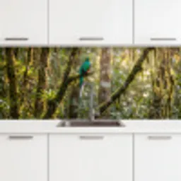 Quetzal - Jungle - Natuur - Groen keuken achterwand 2 middel -3d
