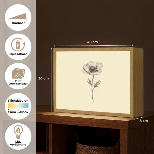 Klaproos - Illustratie - Zwart Light Box met batterij (Wandlamp) middel -USP_websiteoverzichtNL
