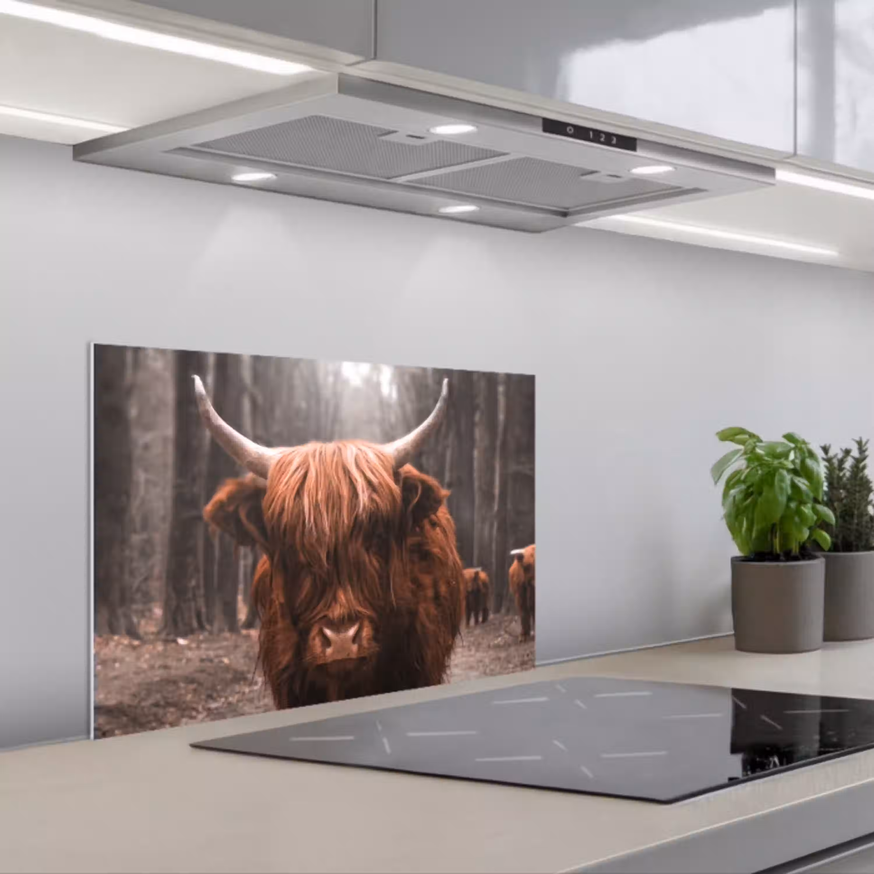 Schotse hooglander - Bos - Koe - Dieren - Natuur keuken achterwand spatscherm klein -3d_schuin