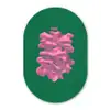 Abstract - Pink - Lijnen - Groen Wandcirkel Ovaal Forex klein -3d
