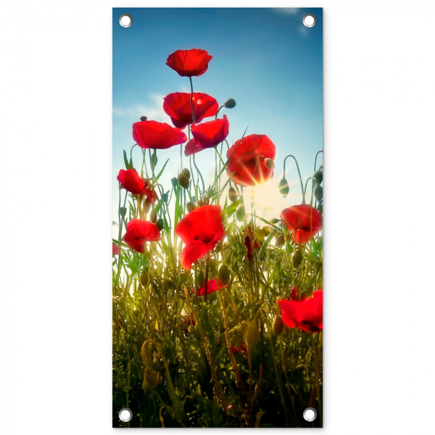 Rode klaprozen tegen de hemel tuinposter los doek klein -3d