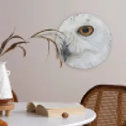 Sneeuwuil - Oog - Wildlife - Wit Akoestische PET Vilt - Rond klein -sfeer3