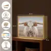 Longhorn - Grasveld - Dier Light Box met batterij (Wandlamp) middel -USP_websiteoverzichtNL