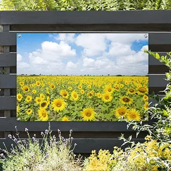 Tuinposter met bloemen