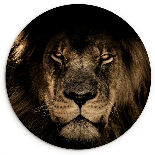 Leeuw - Dieren - Zwart - Portret Wandcirkel kunststof plaat 5mm dik klein -3d