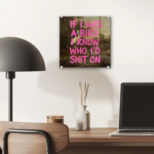 Klassiek - Humor - Roze plexiglas 5mm klein -sfeer6