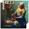 Melkmeisje - Amandelbloesem - Van Gogh - Vermeer - Schilderij - Oude meesters Inductie beschemer met haakjes middel -3d