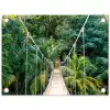 Touwbrug in het Tropisch Woud tuinposter los doek klein -3d