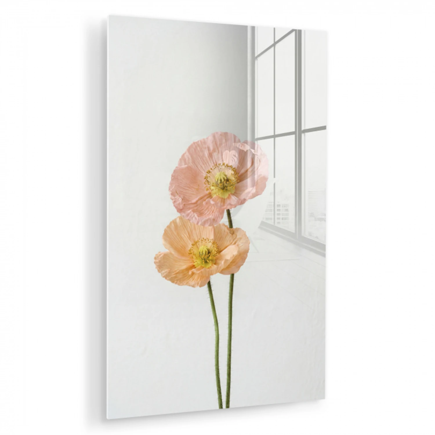 Papavers - Botanisch - Roze plexiglas 5mm klein -zzzproduct_nieuw