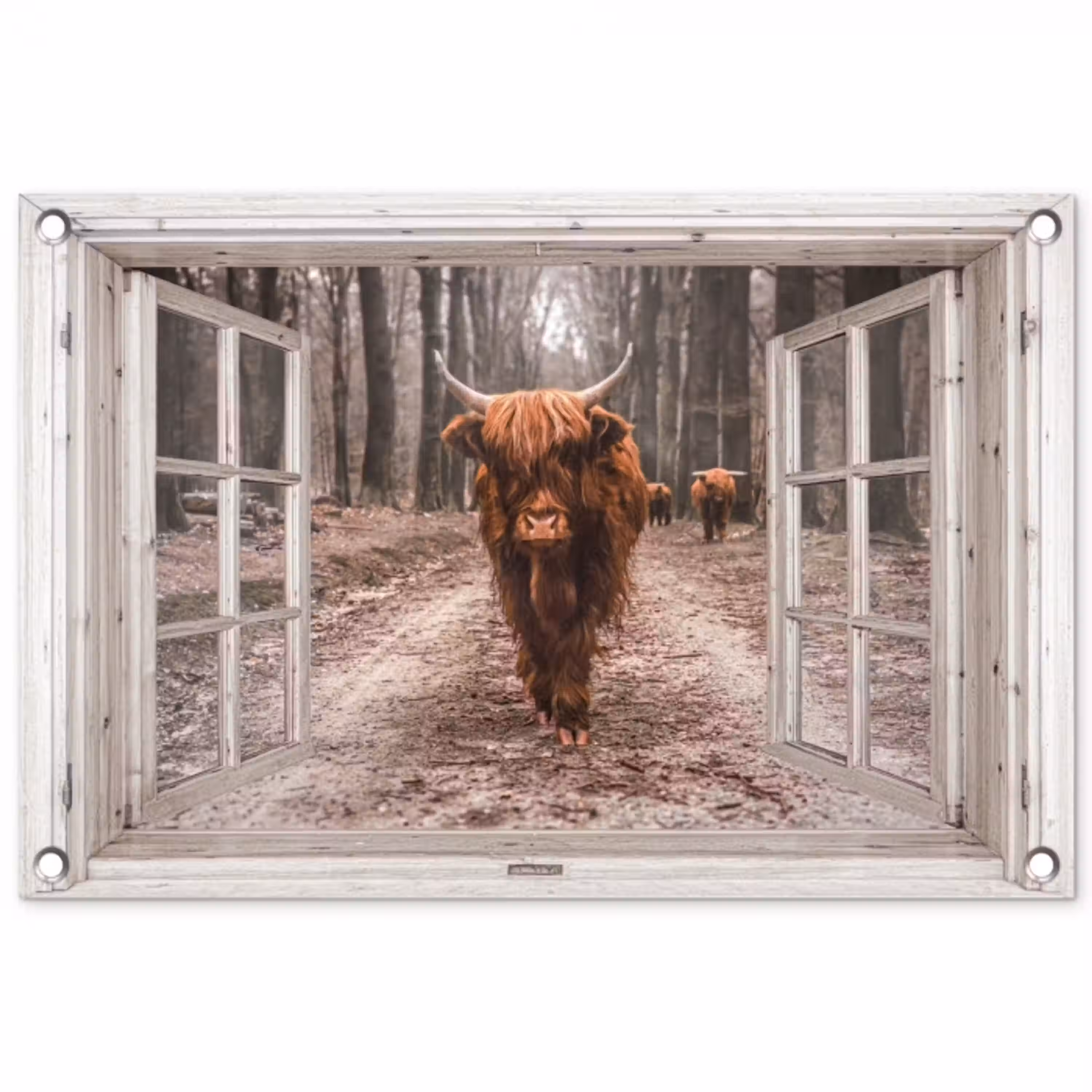 Hooglander door het Raam tuinposter los doek klein -3d