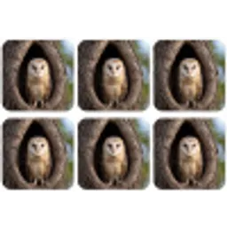Kerkuil - Boom - Natuur - Bruin onderzetter kurk middel -zkaufland3dotto