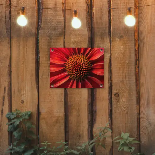 Close up - Bloem- Rood tuinposter los doek klein -sfeer1