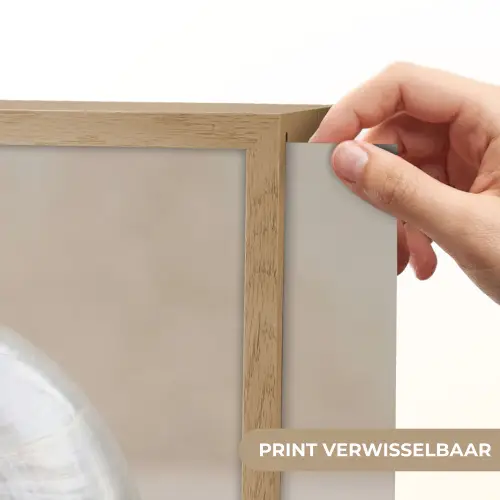 Schelp - Spiraal - Beige Light Box met batterij (Wandlamp) middel -USP_websiteprintNL