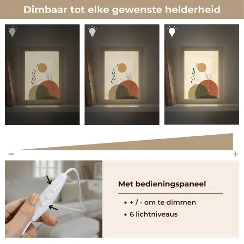 Planten - Abstract - Vormen Light Box met kabel (Tafellamp) klein -USP_dimbaarNL