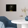 Bloembollen - Wit - Vaas - Minimalistisch poster papier klein -sfeer3