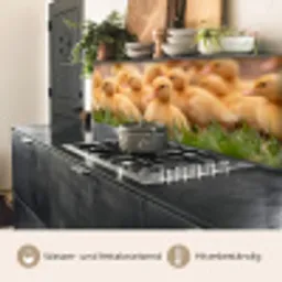 Pijltje - Eend - Natuur - Geel keuken achterwand 2 middel -usp_DE
