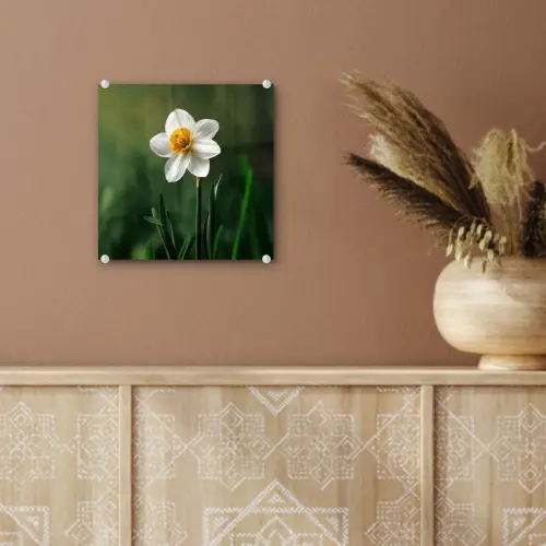 Narcis - Bloem - Wit - Grassprieten plexiglas 5mm klein -sfeer5