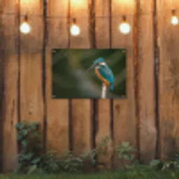 Vogel - IJsvogel - Tak tuinposter los doek klein -sfeer1