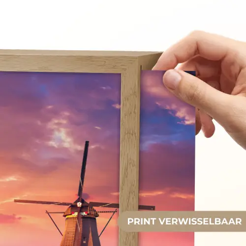Bloemen - Tulpen - Bloemenveld - Molens - Holland Light Box met batterij (Wandlamp) middel -USP_websiteprintNL