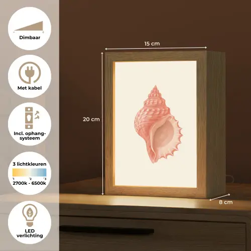 Schelp - Roze - Structuur Light Box met kabel (Tafellamp) klein -USP_NL