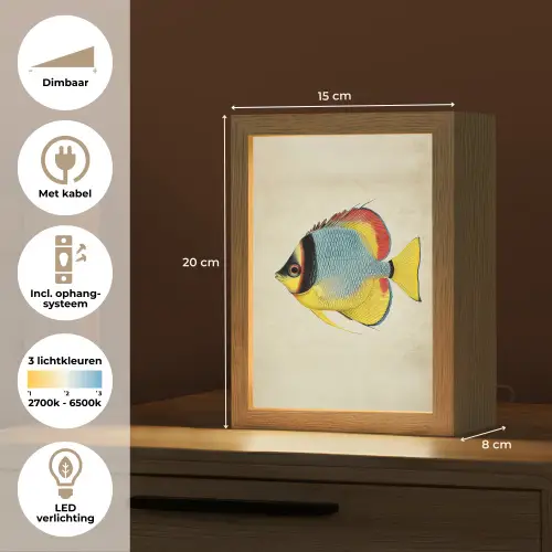 Kleurrijk - Vis - Schubben - Illustratie Light Box met kabel (Tafellamp) klein -USP_NL