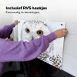 Sneeuwuil - Oog - Wildlife - Wit Inductie beschemer met haakjes klein -ky-ophangen-nl