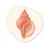 Schelp - Roze - Structuur Wandcirkel Organisch Forex 3mm klein -3d