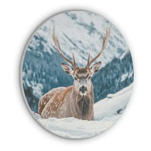 Hert - Landschap - Winter - Natuur - Dieren - Bergen Akoestische PET Vilt - Rond klein -3d